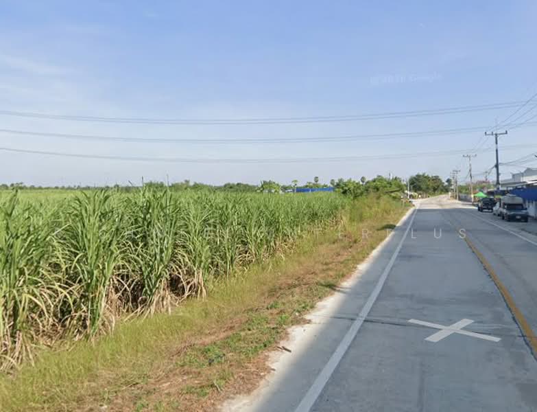 ขายที่ดินหนองอิรุณ 52 ไร่ ติดถนนคอนกรีตใกล้ถนนจารุวร349–600 เมตร บ้านบึง, ชลบุรี, หนองอิรุณ, บ้านบึง, ชลบุรี, 83,796 ตร.ม., ที่ดิน ขาย, โดย RICHWELL INTERPLUS, 500451192 - DDproperty.com