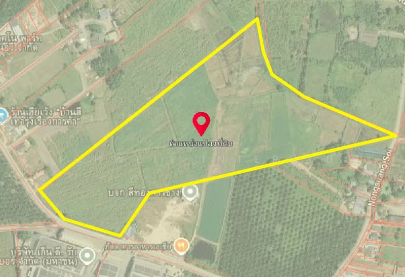 Land for sale in Nong Irung, 52 rai, adjacent to a concrete road, 600 meters from Charuwan 349 Road, Chon Buri (Pattaya), Nong I-run, Ban Bung, Chon Buri (Pattaya), , 83,796 sqm, Land For Sale, by RICHWELL INTERPLUS, 500451192 - DDproperty.com