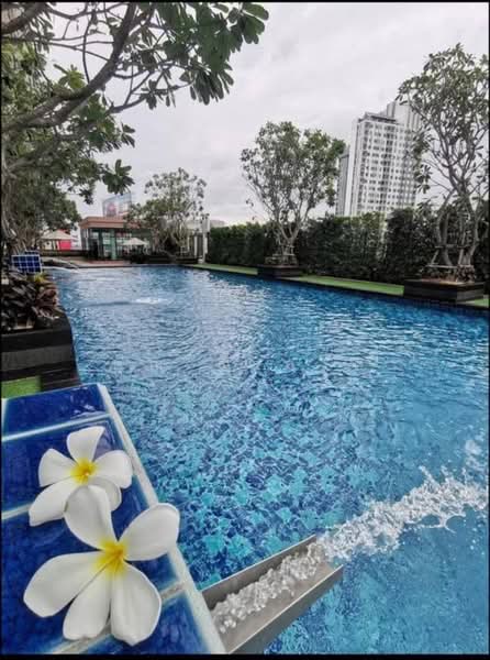 Supalai Monte at Viang, Chiang Mai, Super Highway, Wat Khet, Muang Chiang Mai, Chiang Mai, 1 Bedroom, 40 sqm, Condo For Rent, by คุณ ธีรชาติ, 500451342 - DDproperty.com