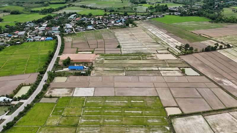 ที่นาไร่ละ 160,000 ติดถนน 1030 มีน้ำ มีไฟ คุณสมบัติดีเยี่ยม, Chiang Rai, 1030, Hua Ngom, Phan, Chiang Rai, , 19,860 sqm, Land For Sale, by Tanapat Yamsai, 500451377 - DDproperty.com
