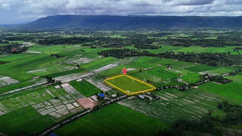 ที่นาไร่ละ 160,000 ติดถนน 1030 มีน้ำ มีไฟ คุณสมบัติดีเยี่ยม, Chiang Rai, 1030, Hua Ngom, Phan, Chiang Rai, , 19,860 sqm, Land For Sale, by Tanapat Yamsai, 500451377 - DDproperty.com