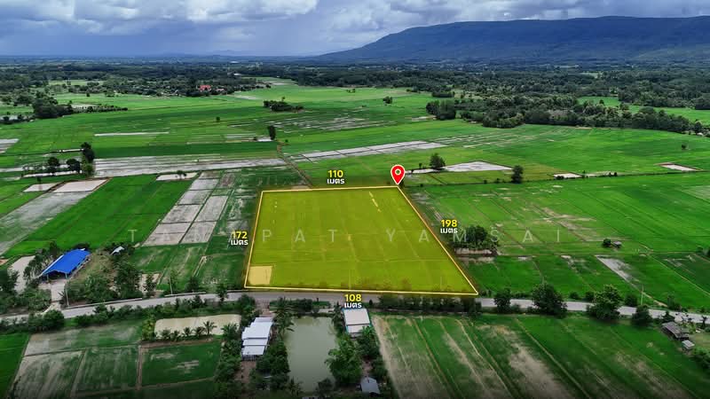 ที่นาไร่ละ 160,000 ติดถนน 1030 มีน้ำ มีไฟ คุณสมบัติดีเยี่ยม, Chiang Rai, 1030, Hua Ngom, Phan, Chiang Rai, , 19,860 sqm, Land For Sale, by Tanapat Yamsai, 500451377 - DDproperty.com