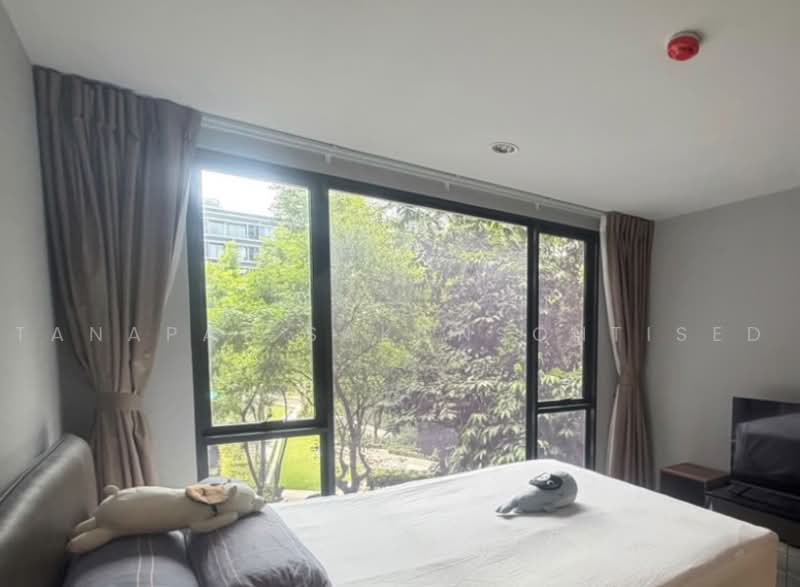IDEO Mobi Sukhumvit 40, Bangkok, Soi Sukhumvit 40, Phra Kanong, Khlong Toei, Bangkok, 1 Bedroom, 42 sqm, Condo For Rent, by Tanapat Sakonsontised, 500451477 - DDproperty.com