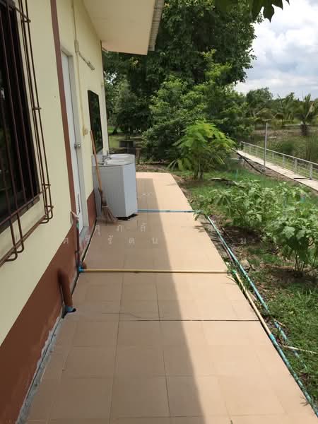 ขายที่ดินพร้อมบ้านพัก2หลังติดถนนใหญ่, Ang Thong, 4004, Talat Mai, Wiset Chaichan, Ang Thong, , 14,136 sqm, Land For Sale, by ศุภลักษณ์ ศรีรัตนธรรม, 500451579 - DDproperty.com