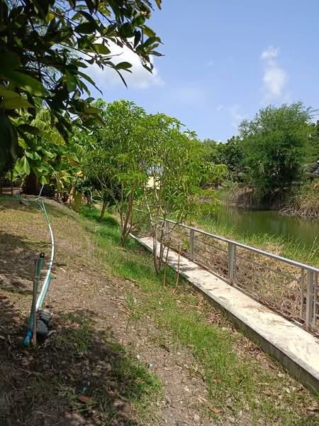 ขายที่ดินพร้อมบ้านพัก2หลังติดถนนใหญ่, Ang Thong, 4004, Talat Mai, Wiset Chaichan, Ang Thong, , 14,136 sqm, Land For Sale, by ศุภลักษณ์ ศรีรัตนธรรม, 500451579 - DDproperty.com