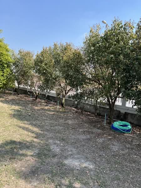ขายที่ดินพร้อมบ้านพัก2หลังติดถนนใหญ่, อ่างทอง, 4004, ตลาดใหม่, วิเศษชัยชาญ, อ่างทอง, 14,136 ตร.ม., ที่ดิน ขาย, โดย ศุภลักษณ์ ศรีรัตนธรรม, 500451579 - DDproperty.com