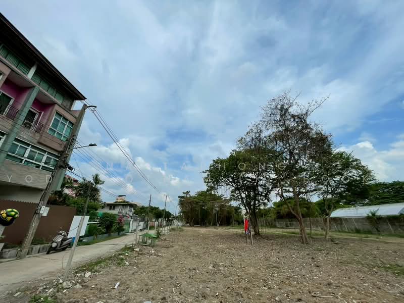 ที่ดินปิ่นเกล้า ซอยจรัญสนิทวงศ์ 57, Bangkok, Bang Bamru, Bang Phlat, Bangkok, , 800 sqm, Land For Sale, by NATTAPHONG Yodmanotham (K. Book), 500451697 - DDproperty.com