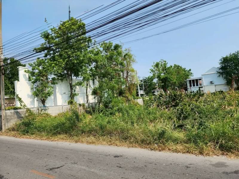 ที่ดิน ติด พฤกษาวิลล์ บางนา-เอแบค, สมุทรปราการ, บางพลีใหญ่, บางพลี, สมุทรปราการ, 1,608 ตร.ม., ที่ดิน ขาย, โดย NATTAPHONG Yodmanotham (K. Book), 500451711 - DDproperty.com