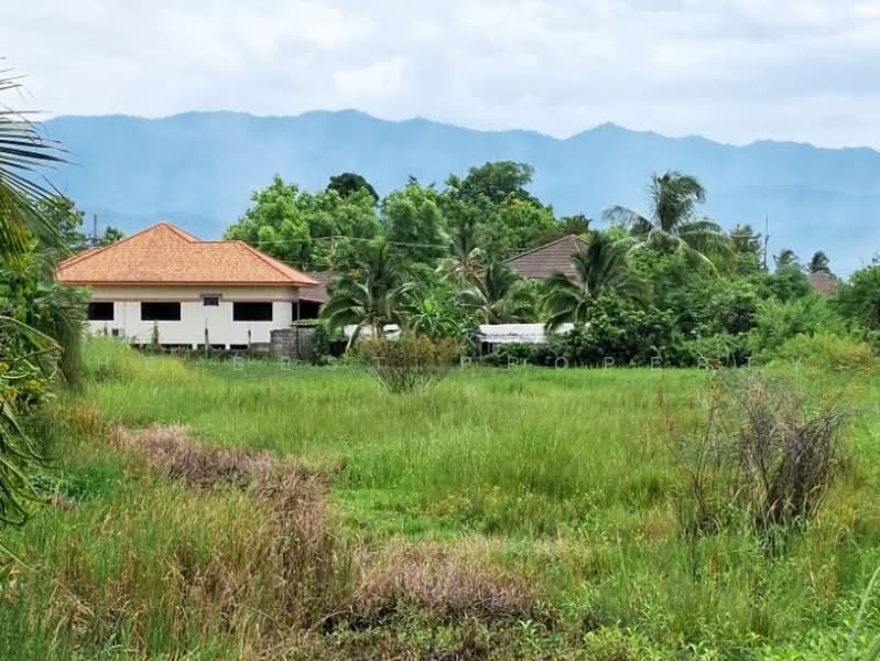 ที่ดินพาน เชียงราย, เชียงราย, ม่วงคำ, พาน, เชียงราย, 6,456 ตร.ม., ที่ดิน ขาย, โดย The Best Property ไนล์, 500451772 - DDproperty.com