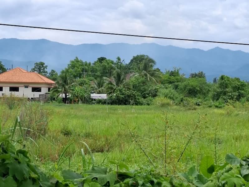 ที่ดินพาน เชียงราย, Chiang Rai, Muang Kham, Phan, Chiang Rai, , 6,456 sqm, Land For Sale, by The Best Property ไนล์, 500451772 - DDproperty.com