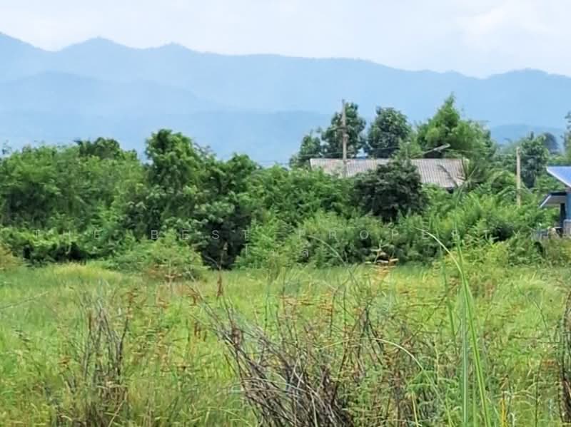 ที่ดินพาน เชียงราย, Chiang Rai, Muang Kham, Phan, Chiang Rai, , 6,456 sqm, Land For Sale, by The Best Property ไนล์, 500451772 - DDproperty.com