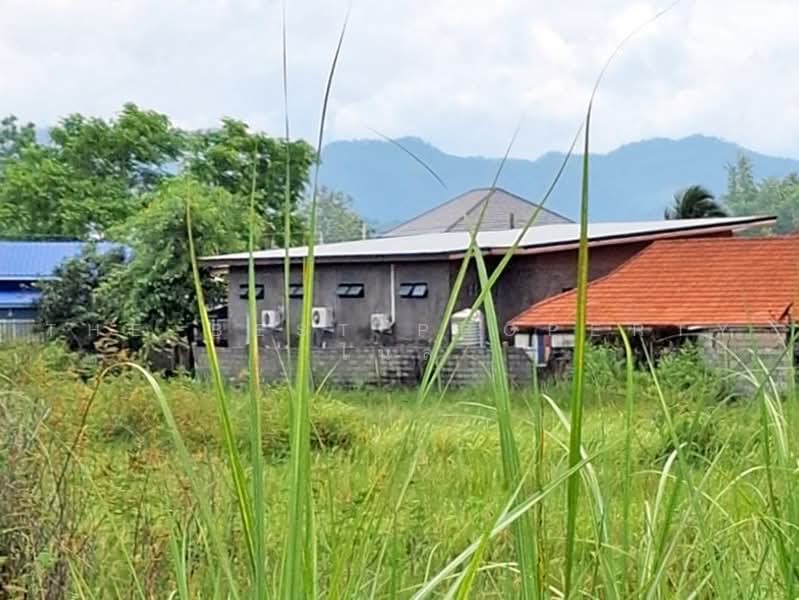 ที่ดินพาน เชียงราย, เชียงราย, ม่วงคำ, พาน, เชียงราย, 6,456 ตร.ม., ที่ดิน ขาย, โดย The Best Property ไนล์, 500451772 - DDproperty.com