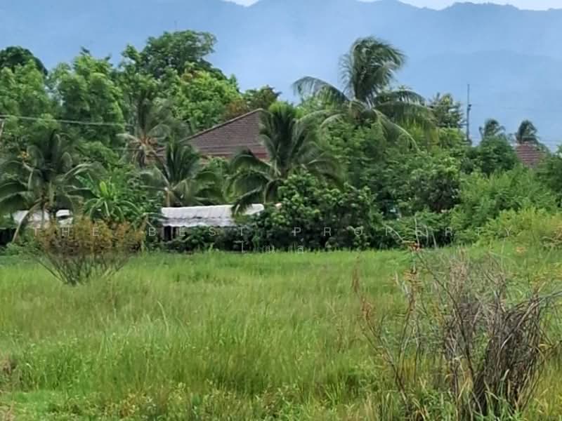 ที่ดินพาน เชียงราย, เชียงราย, ม่วงคำ, พาน, เชียงราย, 6,456 ตร.ม., ที่ดิน ขาย, โดย The Best Property ไนล์, 500451772 - DDproperty.com