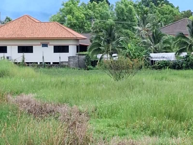 ที่ดินพาน เชียงราย, เชียงราย, ม่วงคำ, พาน, เชียงราย, 6,456 ตร.ม., ที่ดิน ขาย, โดย The Best Property ไนล์, 500451772 - DDproperty.com