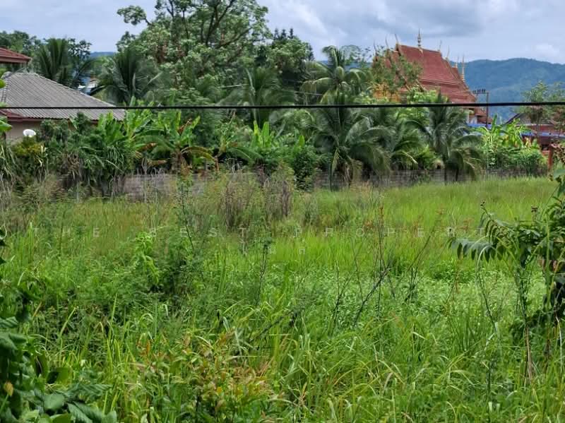 ที่ดินพาน เชียงราย, เชียงราย, ม่วงคำ, พาน, เชียงราย, 6,456 ตร.ม., ที่ดิน ขาย, โดย The Best Property ไนล์, 500451772 - DDproperty.com