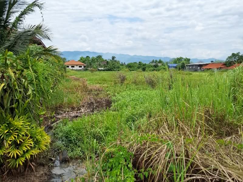 ที่ดินพาน เชียงราย, เชียงราย, ม่วงคำ, พาน, เชียงราย, 6,456 ตร.ม., ที่ดิน ขาย, โดย The Best Property ไนล์, 500451772 - DDproperty.com