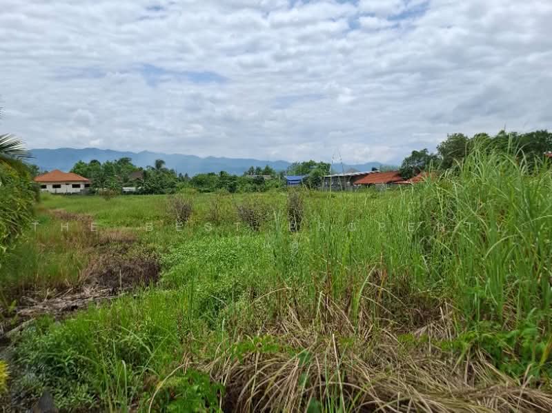 ที่ดินพาน เชียงราย, เชียงราย, ม่วงคำ, พาน, เชียงราย, 6,456 ตร.ม., ที่ดิน ขาย, โดย The Best Property ไนล์, 500451772 - DDproperty.com