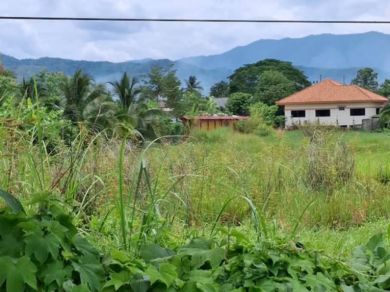ที่ดินพาน เชียงราย, เชียงราย, ม่วงคำ, พาน, เชียงราย, 6,456 ตร.ม., ที่ดิน ขาย, โดย The Best Property ไนล์, 500451772 - DDproperty.com