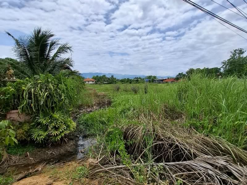 ที่ดินพาน เชียงราย, Chiang Rai, Muang Kham, Phan, Chiang Rai, , 6,456 sqm, Land For Sale, by The Best Property ไนล์, 500451772 - DDproperty.com