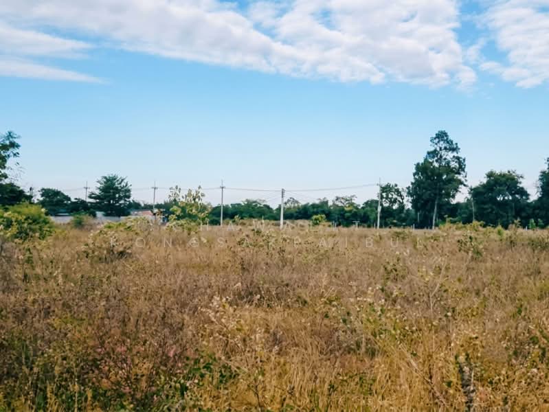 Vacant land for sale in Suranaree Industrial Estate, total area 3 rai 3 ngan 49 square wa, Nakhon Ratchasima, ราชสีมา-โชคชัย, Nong Rawiang, Muang Nakhon Ratchasima, Nakhon Ratchasima, , 6,196 sqm, Land For Sale, by CHAWALIT KONGSAKPAIBUL, 500451781 - DDproperty.com