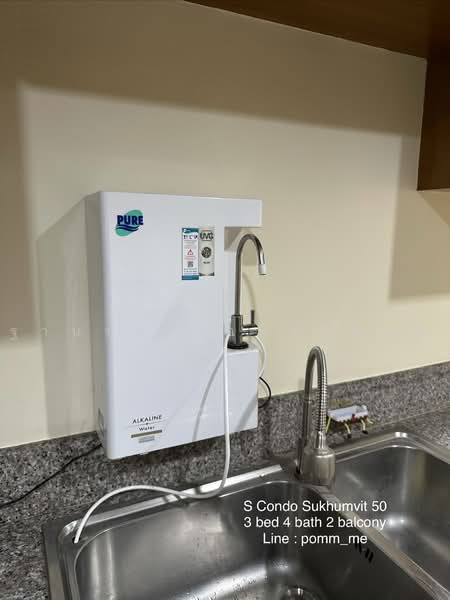 S Condo Sukhumvit 50, Bangkok, 1332 Sukhumvit 50 Aly, Phra Kanong, Khlong Toei, Bangkok, 3 Bedrooms, 118 sqm, Condo For Rent, by ฐานรดา อนรรฆมณี, 500451826 - DDproperty.com