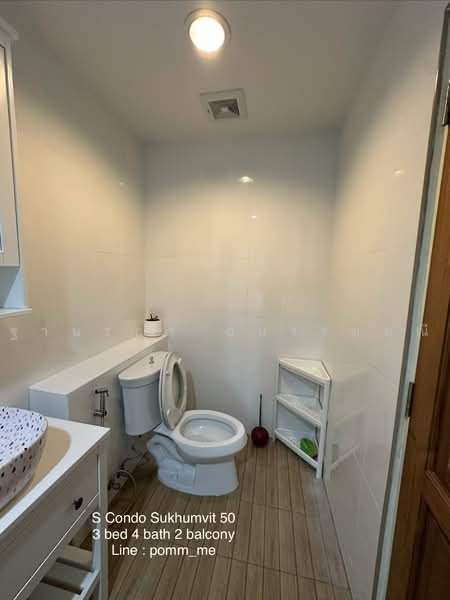 S Condo Sukhumvit 50 : เอส คอนโด สุขุมวิท 50, กรุงเทพ, 1332 ซ. สุขุมวิท 50, พระโขนง, คลองเตย, กรุงเทพ, 118 ตร.ม., คอนโด ให้เช่า, โดย ฐานรดา อนรรฆมณี, 500451826 - DDproperty.com