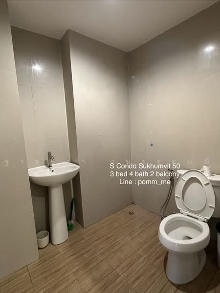 S Condo Sukhumvit 50 : เอส คอนโด สุขุมวิท 50, กรุงเทพ, 1332 ซ. สุขุมวิท 50, พระโขนง, คลองเตย, กรุงเทพ, 118 ตร.ม., คอนโด ให้เช่า, โดย ฐานรดา อนรรฆมณี, 500451826 - DDproperty.com