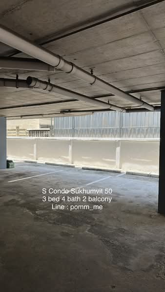 S Condo Sukhumvit 50, Bangkok, 1332 Sukhumvit 50 Aly, Phra Kanong, Khlong Toei, Bangkok, 3 Bedrooms, 118 sqm, Condo For Rent, by ฐานรดา อนรรฆมณี, 500451826 - DDproperty.com