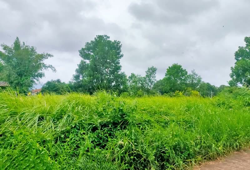 ที่ดินเกาะขวาง จันทบุรี, Chanthaburi, Ko Khwang, Muang Chanthaburi, Chanthaburi, , 1,390 sqm, Land For Sale, by The Best Property แมว, 500451839 - DDproperty.com