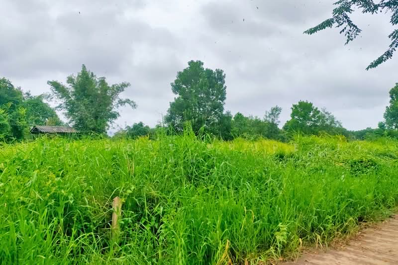 ที่ดินเกาะขวาง จันทบุรี, Chanthaburi, Ko Khwang, Muang Chanthaburi, Chanthaburi, , 1,390 sqm, Land For Sale, by The Best Property แมว, 500451839 - DDproperty.com
