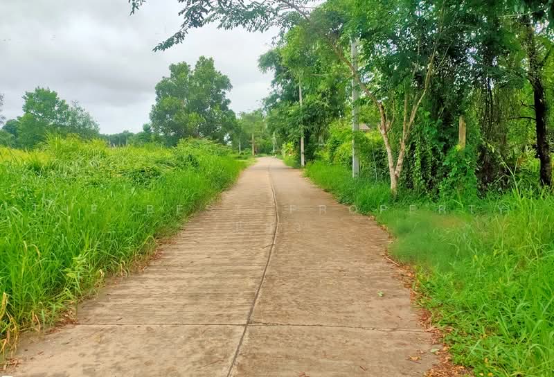 ที่ดินเกาะขวาง จันทบุรี, Chanthaburi, Ko Khwang, Muang Chanthaburi, Chanthaburi, , 1,390 sqm, Land For Sale, by The Best Property แมว, 500451839 - DDproperty.com