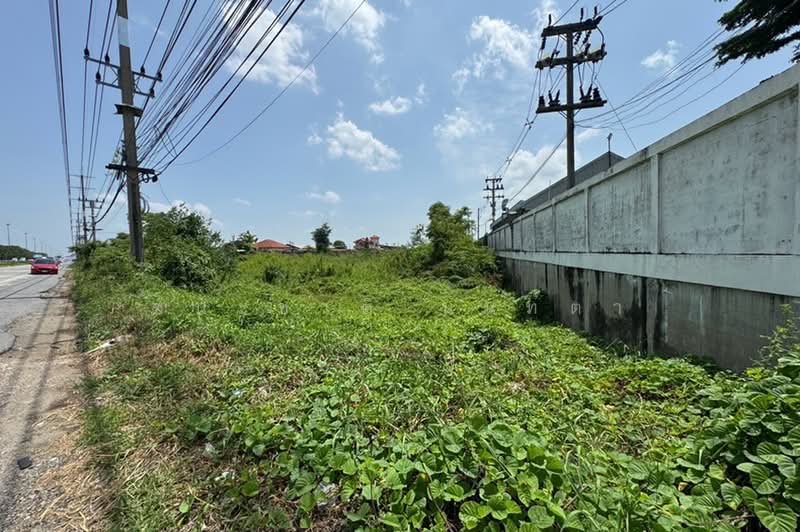 ใกล้สถาบันนวัฒกรรม ปตท, สระบุรี, ไผ่ต่ำ, หนองแค, สระบุรี, 37,356 ตร.ม., ที่ดิน ขาย, โดย ชนะชาติ นนท์ตา, 500451851 - DDproperty.com