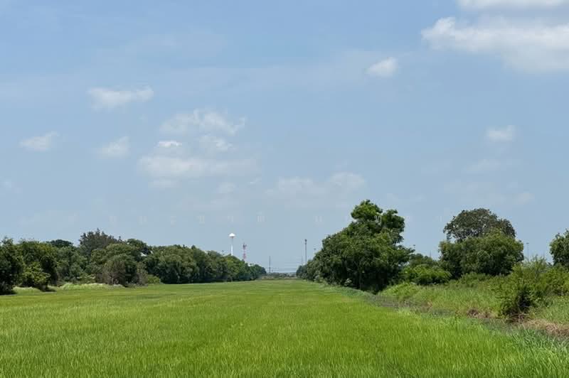 ใกล้สถาบันนวัฒกรรม ปตท, Saraburi, Phai Tam, Nong Khae, Saraburi, , 37,356 sqm, Land For Sale, by ชนะชาติ นนท์ตา, 500451851 - DDproperty.com