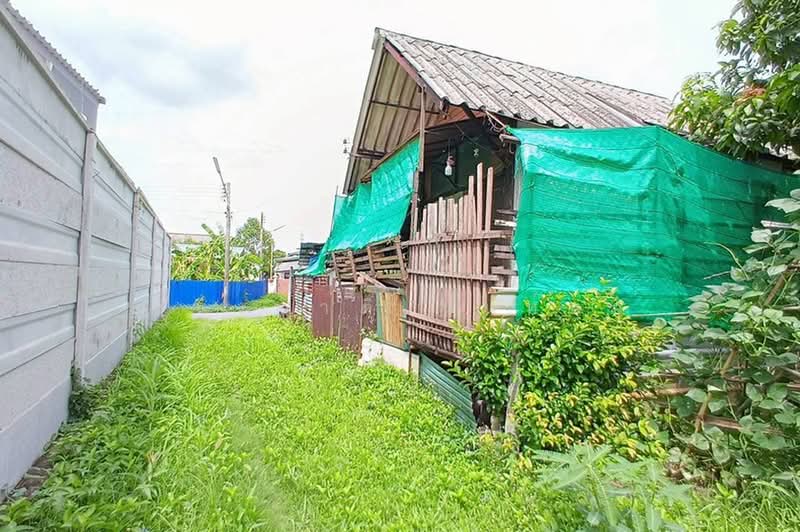 ซอยเจริญสุข, Pathum Thani, Lak Hok, Muang Pathum Thani, Pathum Thani, , 400 sqm, Land For Sale, by ชนะชาติ นนท์ตา, 500451888 - DDproperty.com