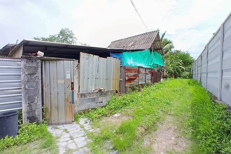 ซอยเจริญสุข, ปทุมธานี, หลักหก, เมืองปทุมธานี, ปทุมธานี, 400 ตร.ม., ที่ดิน ขาย, โดย ชนะชาติ นนท์ตา, 500451888 - DDproperty.com