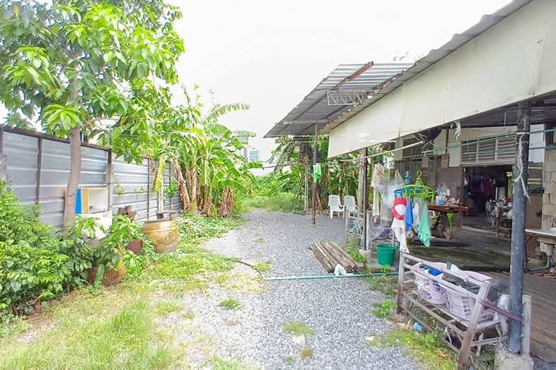 ซอยเจริญสุข, Pathum Thani, Lak Hok, Muang Pathum Thani, Pathum Thani, , 400 sqm, Land For Sale, by ชนะชาติ นนท์ตา, 500451888 - DDproperty.com