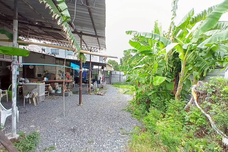 ซอยเจริญสุข, ปทุมธานี, หลักหก, เมืองปทุมธานี, ปทุมธานี, 400 ตร.ม., ที่ดิน ขาย, โดย ชนะชาติ นนท์ตา, 500451888 - DDproperty.com