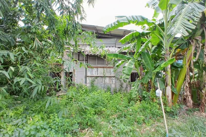 ซอยเจริญสุข, Pathum Thani, Lak Hok, Muang Pathum Thani, Pathum Thani, , 400 sqm, Land For Sale, by ชนะชาติ นนท์ตา, 500451888 - DDproperty.com