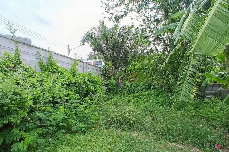 ซอยเจริญสุข, ปทุมธานี, หลักหก, เมืองปทุมธานี, ปทุมธานี, 400 ตร.ม., ที่ดิน ขาย, โดย ชนะชาติ นนท์ตา, 500451888 - DDproperty.com