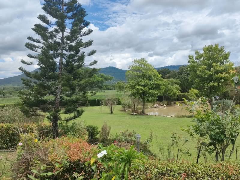 House for sale 3 houses Private with pool, Nakhon Ratchasima, Wang Zai, Pak Chong, Nakhon Ratchasima, 3 Bedrooms, 500 sqm, Single Detached House For Sale, by วิรณี, 500451978 - DDproperty.com