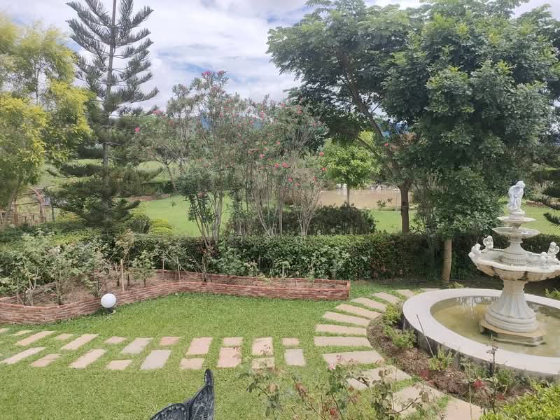 House for sale 3 houses Private with pool, Nakhon Ratchasima, Wang Zai, Pak Chong, Nakhon Ratchasima, 3 Bedrooms, 500 sqm, Single Detached House For Sale, by วิรณี, 500451978 - DDproperty.com