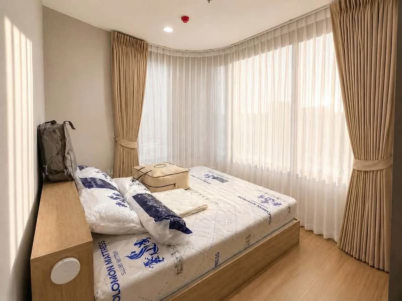 Skyrise Avenue Sukhumvit 64 : สกายไลน์ อเวนิว สุขุมวิท 64, กรุงเทพ, 3 ถนนสุขุมวิท 64, บางจาก, พระโขนง, กรุงเทพ, 44 ตร.ม., คอนโด ให้เช่า, โดย ไพลิน เลิศวัฒนมงคล, 500452024 - DDproperty.com