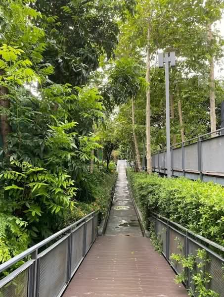 IDEO O2 บางนา, กรุงเทพ, 195 ถนนสรรพาวุธ, บางนาใต้, บางนา, กรุงเทพ, 33 ตร.ม., คอนโด ให้เช่า, โดย Chanikarn Lumphrom, 500452042 - DDproperty.com