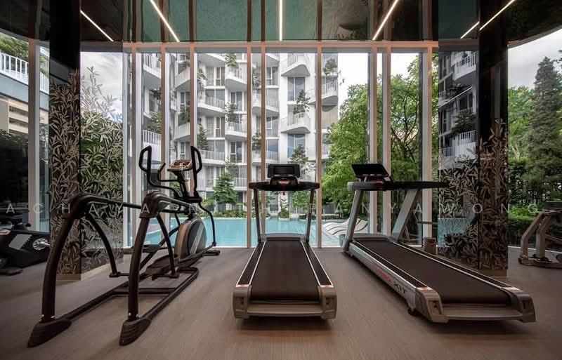 Chewathai Residence Thonglor : ชีวาทัย เรสซิเดนท์ ทองหล่อ, กรุงเทพ, ซอยทองหล่อ 20 ถนนทองหล่อ, คลองตันเหนือ, วัฒนา, กรุงเทพ, 33 ตร.ม., คอนโด ให้เช่า, โดย Achaya Nithipanyawong, 500452461 - DDproperty.com