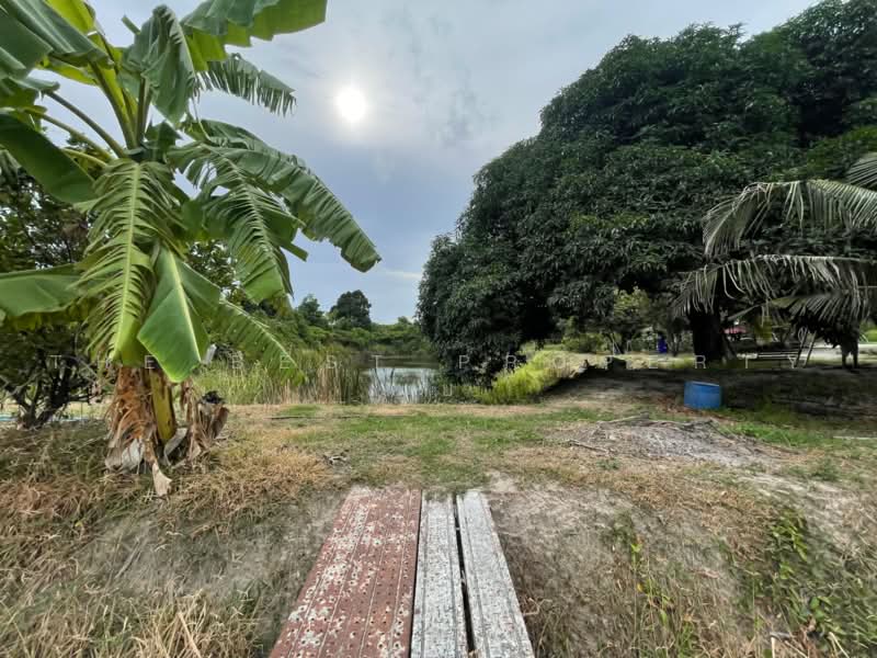 ที่ดินห้วยกะปิ ชลบุรี, Chon Buri (Pattaya), Huai Kapi, Muang Chon Buri, Chon Buri (Pattaya), , 6,584 sqm, Land For Sale, by The Best Property นุ้ย, 500452549 - DDproperty.com