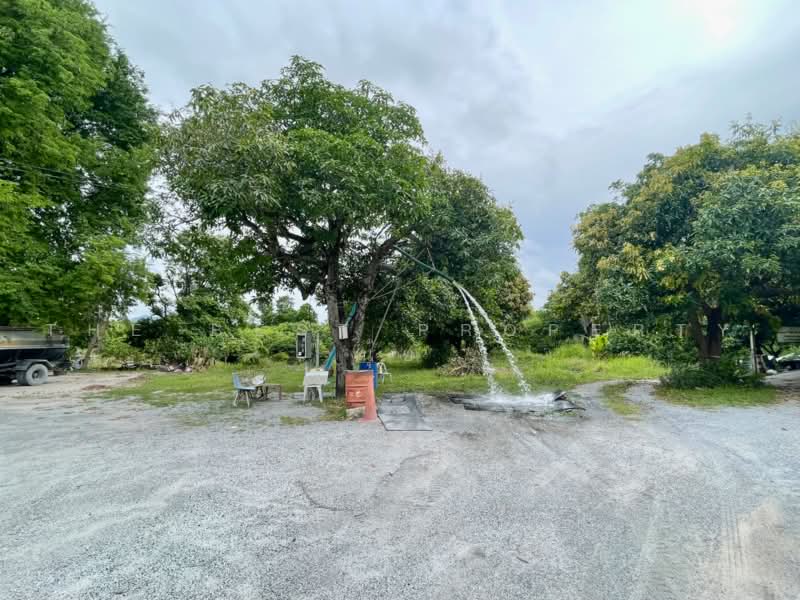 ที่ดินห้วยกะปิ ชลบุรี, Chon Buri (Pattaya), Huai Kapi, Muang Chon Buri, Chon Buri (Pattaya), , 6,584 sqm, Land For Sale, by The Best Property นุ้ย, 500452549 - DDproperty.com
