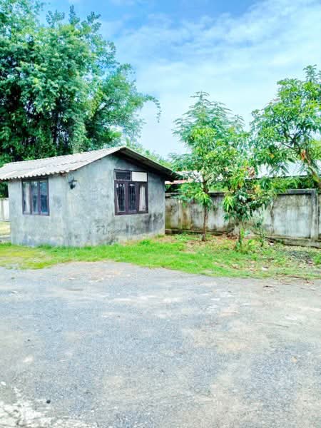 ไม่พบโครงการ, Chiang Mai, วงแหวนรอบ 3 วัดดอนชัย, San Pu Loei, Doi Saket, Chiang Mai, , 800 sqm, Warehouse/Factory For Rent, by ณัฐพงศ์ สุนทรอรุณ, 500452832 - DDproperty.com