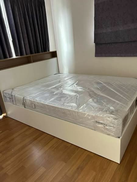 ให้เช่าบ้านแฝด ม.คาซ่าแกรนด์ สวนเสือ ศรีราชา, Chon Buri (Pattaya), Surasak, Si Racha, Chon Buri (Pattaya), 3 Bedrooms, 150 sqm, Semi-Detached House (Twin House) For Rent, by Dusit Saengfa, 500452843 - DDproperty.com