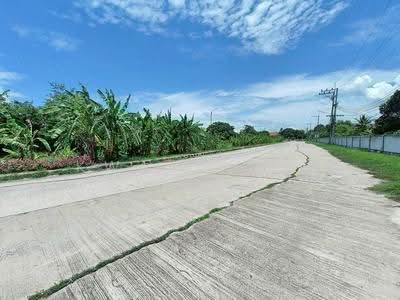 ขาย - จังหวัดลพบุรี, ลพบุรี