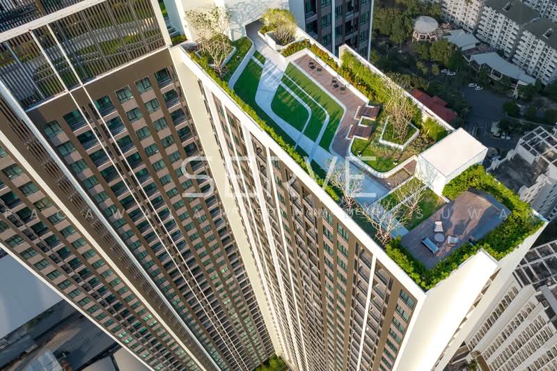 NUE Noble Srinakarin-Lasalle : นิว โนเบิล ศรีนครินทร์-ลาซาล, สมุทรปราการ, ถนน ศรีนครินทร์, สำโรงเหนือ, เมืองสมุทรปราการ, สมุทรปราการ, 34 ตร.ม., คอนโด ให้เช่า, โดย Pacawalan Praditsuwan, 500453125 - DDproperty.com